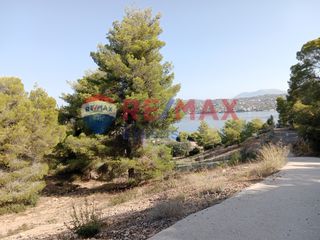 Αγροτεμάχια 4.046 τ.μ. προς πώληση, Πορτοχέλι-thumb-16