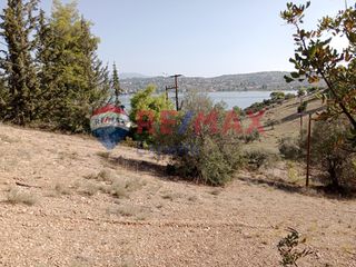 Αγροτεμάχια 4.046 τ.μ. προς πώληση, Πορτοχέλι-thumb-28