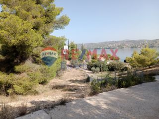 Αγροτεμάχια 4.046 τ.μ. προς πώληση, Πορτοχέλι-thumb-34