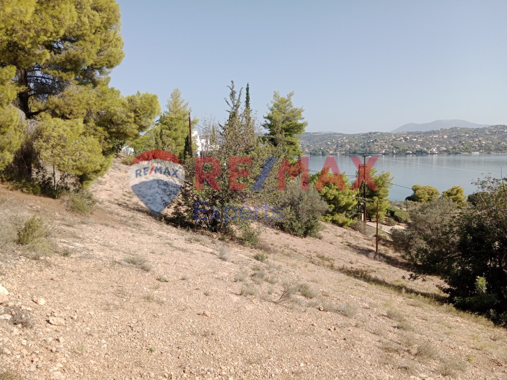 Αγροτεμάχια 4.046 τ.μ. προς πώληση, Πορτοχέλι