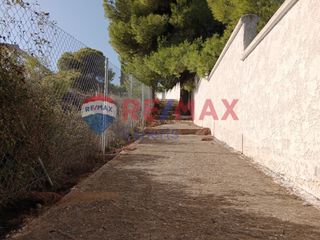 Αγροτεμάχια 4.046 τ.μ. προς πώληση, Πορτοχέλι-thumb-48