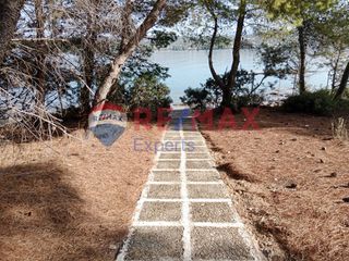 Αγροτεμάχια 4.046 τ.μ. προς πώληση, Πορτοχέλι-thumb-5