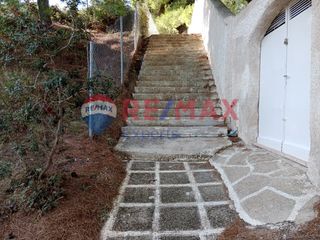 Αγροτεμάχια 4.046 τ.μ. προς πώληση, Πορτοχέλι-thumb-49
