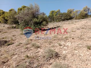 Αγροτεμάχια 4.046 τ.μ. προς πώληση, Πορτοχέλι-thumb-22