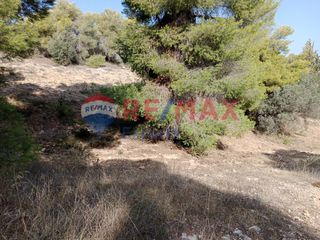 Αγροτεμάχια 4.046 τ.μ. προς πώληση, Πορτοχέλι-thumb-20