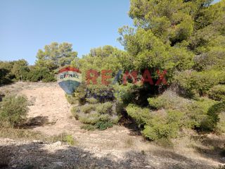 Αγροτεμάχια 4.046 τ.μ. προς πώληση, Πορτοχέλι-thumb-10