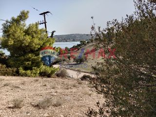 Αγροτεμάχια 4.046 τ.μ. προς πώληση, Πορτοχέλι-thumb-15