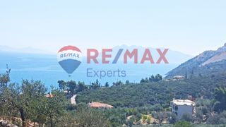 Αγροτεμάχια 4.334 τ.μ. για πώληση