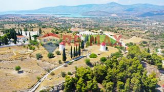 Αγροτεμάχια 9.997 τ.μ. για πώληση