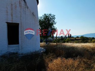 Αγροτεμάχια 9.997 τ.μ. για πώληση, Αργολίδα, Κρανίδι-thumb-24