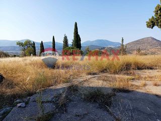 Αγροτεμάχια 9.997 τ.μ. για πώληση, Αργολίδα, Κρανίδι-thumb-17