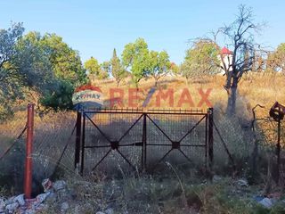 Αγροτεμάχια 9.997 τ.μ. για πώληση, Αργολίδα, Κρανίδι-thumb-15