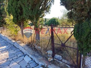 Αγροτεμάχια 9.997 τ.μ. για πώληση, Αργολίδα, Κρανίδι-thumb-16