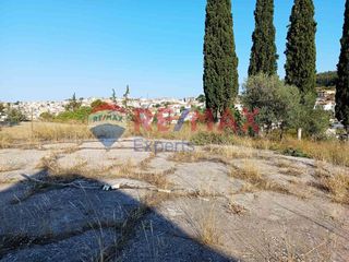 Αγροτεμάχια 9.997 τ.μ. για πώληση, Αργολίδα, Κρανίδι-thumb-6