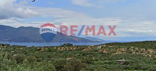Αγροτεμάχια 5.348 τ.μ. για πώληση