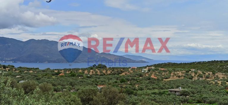 Αγροτεμάχια 5.348 τ.μ. για πώληση, Νησιά Αργοσαρωνικού, Πόρος