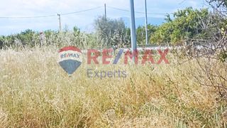 Αγροτεμάχια 4.095 τ.μ. για πώληση
