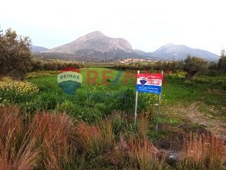 Αγροτεμάχια 12.000 τ.μ. για πώληση