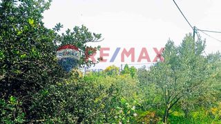Οικόπεδο 1.049 τ.μ. για πώληση, Αρκαδία, Απόλλωνας-thumb-14