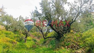 Οικόπεδο 1.049 τ.μ. για πώληση, Αρκαδία, Απόλλωνας-thumb-3