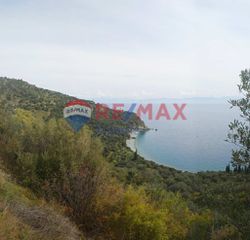 Αγροτεμάχια 10.244,52 τ.μ. για πώληση
