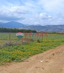 Οικόπεδο 1.010 τ.μ. προς πώληση, Δαλαμανάρα-thumb-4