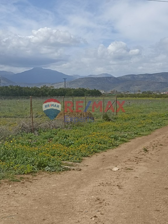 Οικόπεδο 1.010 τ.μ. προς πώληση, Δαλαμανάρα