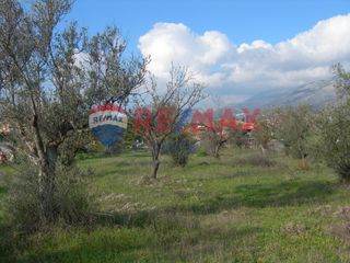 Οικόπεδο 1.451 τ.μ. για πώληση