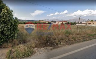 Αγροτεμάχια 7.341 τ.μ. για πώληση
