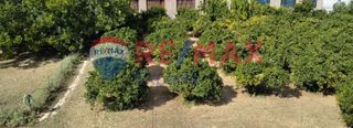 Μονοκατοικία 270 τ.μ. για πώληση, Αργολίδα, Ναύπλιο-thumb-18