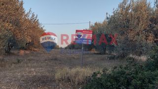Αγροτεμάχια 3.732,78 τ.μ. για πώληση