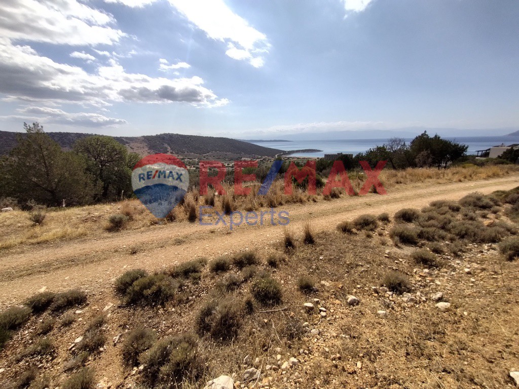 Οικόπεδο 682 τ.μ. προς πώληση, Σαλάντι