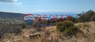 Οικόπεδο 682 τ.μ. προς πώληση, Σαλάντι-thumb-14