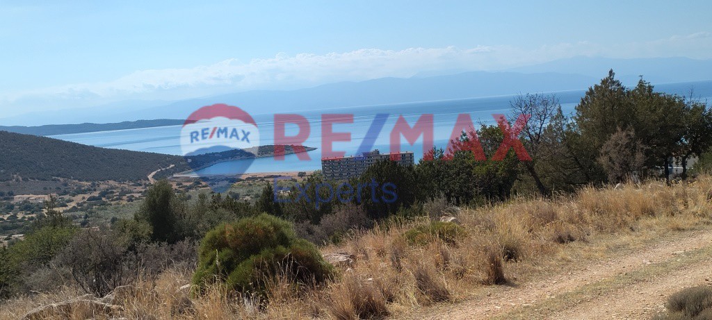 Οικόπεδο 682 τ.μ. προς πώληση, Σαλάντι