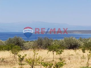 Αγροτεμάχια 5.557 τ.μ. για πώληση