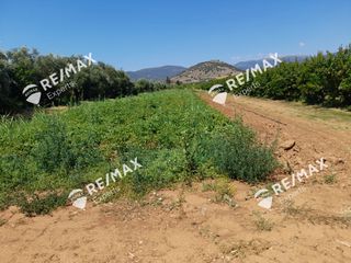 Αγροτεμάχια 5.151 τ.μ. για πώληση, Αργολίδα, Λέρνα-thumb-5