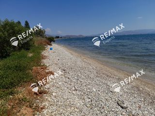 Αγροτεμάχια 5.151 τ.μ. για πώληση, Αργολίδα, Λέρνα-thumb-2