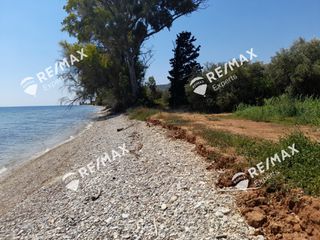 Αγροτεμάχια 5.151 τ.μ. για πώληση