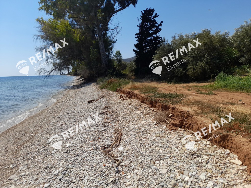 Αγροτεμάχια 5.151 τ.μ. προς πώληση, Κιβέρι