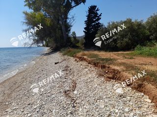 Αγροτεμάχια 5.151 τ.μ. για πώληση, Αργολίδα, Λέρνα-thumb-4