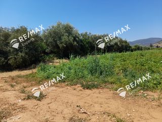 Αγροτεμάχια 5.151 τ.μ. για πώληση, Αργολίδα, Λέρνα-thumb-1