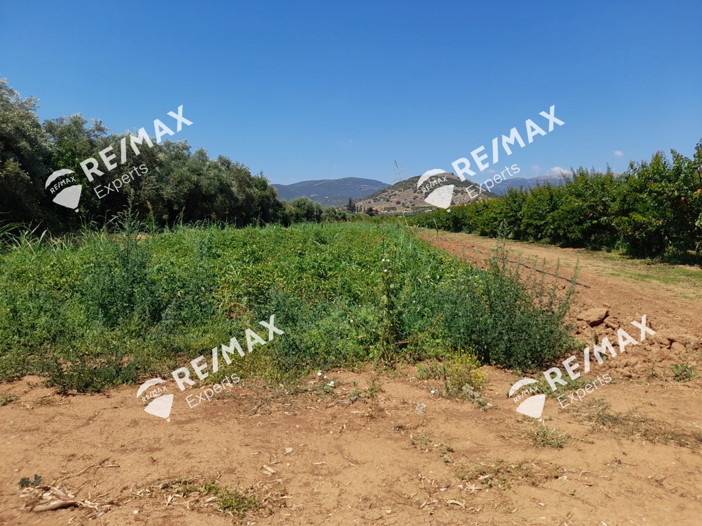 Αγροτεμάχια 5.151 τ.μ. προς πώληση, Κιβέρι