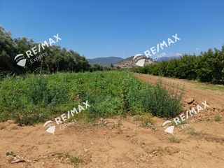 Αγροτεμάχια 5.151 τ.μ. για πώληση, Αργολίδα, Λέρνα-thumb-3