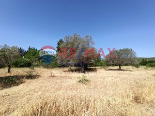 Αγροτεμάχια 4.041,89 τ.μ. για πώληση