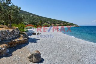 Αγροτεμάχια 4.229 τ.μ. για πώληση