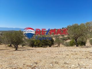 Αγροτεμάχια 9.558 τ.μ. για πώληση, Αργολίδα, Κρανίδι-thumb-1