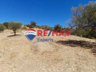 Αγροτεμάχια 9.558 τ.μ. για πώληση, Αργολίδα, Κρανίδι-thumb-5
