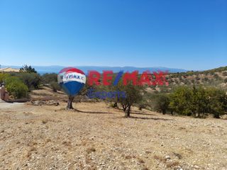 Αγροτεμάχια 9.558 τ.μ. για πώληση