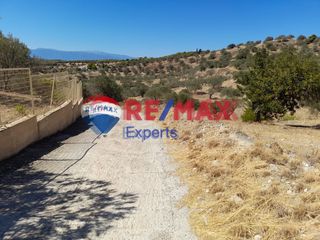 Αγροτεμάχια 9.558 τ.μ. για πώληση, Αργολίδα, Κρανίδι-thumb-10
