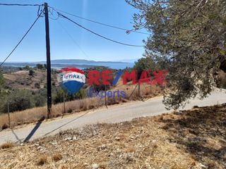 Αγροτεμάχια 9.558 τ.μ. για πώληση, Αργολίδα, Κρανίδι-thumb-7